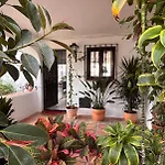 Апартаменты Paradise Sea View