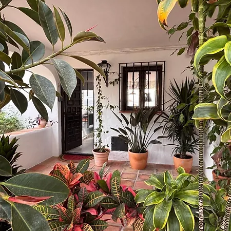 Appartement Paradise Sea View